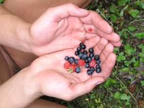 Twink eating berries and showing off his beautiful legs