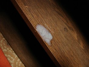 Lanky twink with a six-pack blows his load on cam