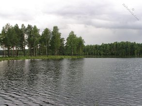 Brunette twink goes skinny dipping and masturbates