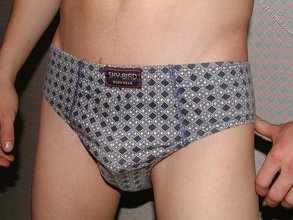 Brown-haired twink boy undressing and showing his hairy cock