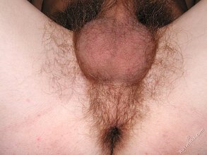 Hairy cock young boy is showing off his equally hairy asshole