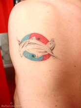 Coktease twink shows his tats and his puffy cock