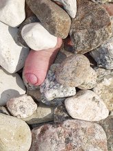 Rock hard redheaded dude fucking a bunch of rocks