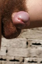 Hairy cock twink boy showing off his asshole outdoors