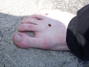 Redheaded twink shows his feet and his sexy body