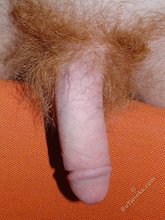 Redheaded twink shows his really hairy cock