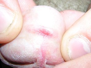 Close-up shots of a twink's immaculate-looking dick