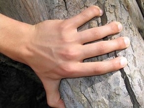 Tanned twink whips out his cock while outdoors