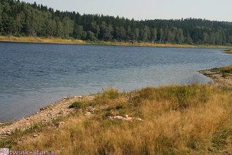 Bubble butt twink jerking off while in the grass