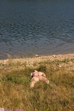 Bubble butt twink jerking off while in the grass