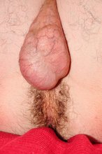Good-looking twink shows his sexy lips and really hairy asshole