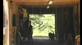 Hardcore anal with two big-dicked twink country boys