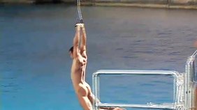 Retro twink-like hunks sucking dicks on camera