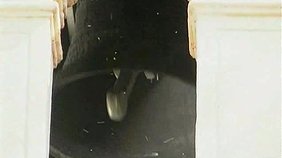 Young guys with thick dicks sucking like crazy in a threesome