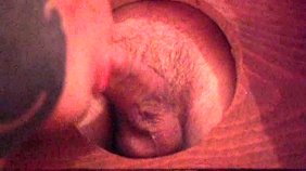 Glory hole action with a bunch of well-endowed gay studs