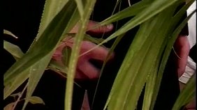 Deep anal drilling for a slightly muscular Latino twink boy