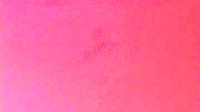 Latino lover strips naked to expose his throbbing cock on cam